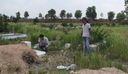 'Tiết lộ' phía sau những tử tù phải hành hình ở pháp trường